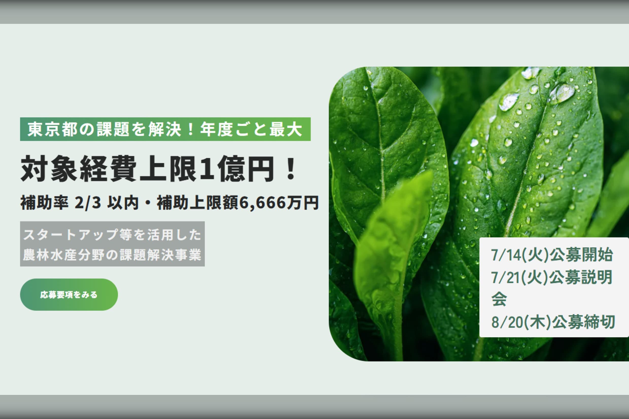 東京都「スタートアップ等を活用した農林水産分野の課題解決事業」