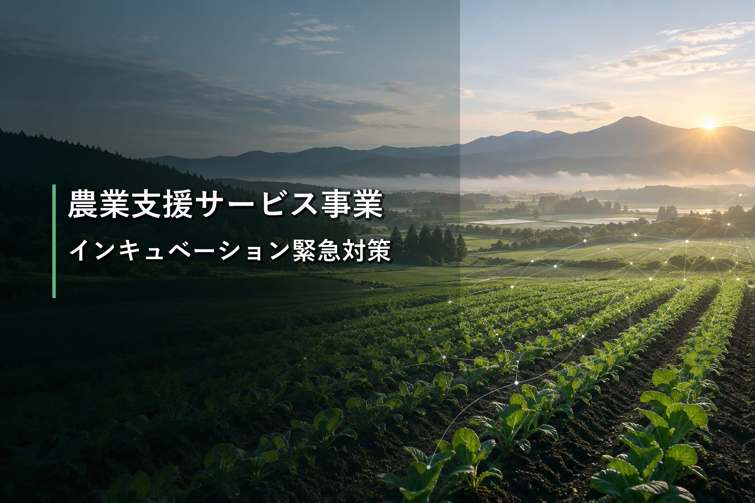 農業支援サービス事業インキュベーション緊急対策